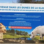 Rural Le Vent Du Nord - Ferme 아파트 *