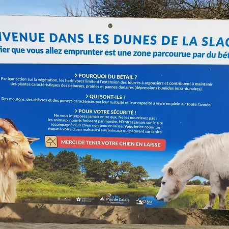 Rural Le Vent Du Nord - Ferme Holiday home *